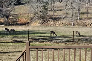 913 Cr 237 Rd, Cameron, TX 76520 - Photo 17