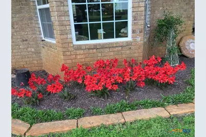 913 Cr 237 Road, Cameron, TX 76520 - Photo 23