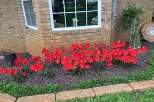 913 Cr 237 Rd, Cameron, TX 76520 - Photo 23