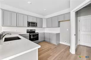 827 Liberty Park Dr, Belton, TX 76513 - Photo 3