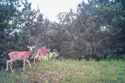 Tbd Straws Mill Rd, Gatesville, TX 76528 - Photo 37