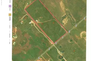 435 FM539, Floresville, TX 78114 - Photo 5