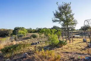 3270 Fm 671, Luling, TX 78648 - Photo 19