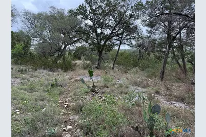 1113 Keystone, Canyon Lake, TX 78133 - Photo 3