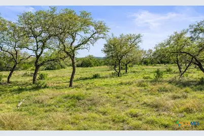 0 Lone Star Oak Ranch, Johnson City, TX 78636 - Photo 9