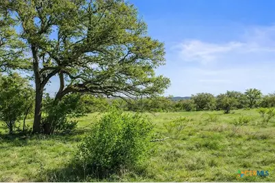 0 Lone Star Oak Ranch, Johnson City, TX 78636 - Photo 23