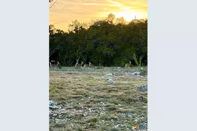 869 Flaman Road, Canyon Lake, TX 78133 - Photo 11