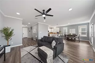 4133 Harper Lee Ln, New Braunfels, TX 78130 - Photo 3