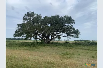 12655 State Highway 172, La Ward, TX 77970 - Photo 5