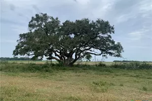 12655 State Hwy 172, La Ward, TX 77970 - Photo 5