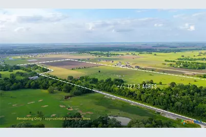 Tbd Corner Of Fm 2155 and Cr 269 (+/-127.39 Acres), Snook, TX 77878 - Photo 11