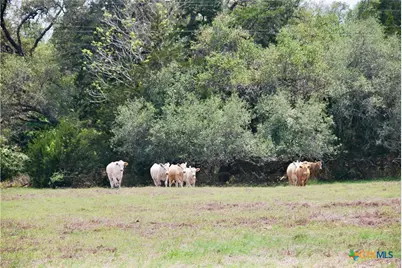 Tbd Fm 532, Shiner, TX 77984 - Photo 17