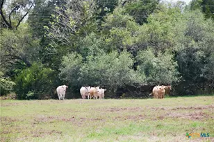 Tbd Fm 532, Shiner, TX 77984 - Photo 17