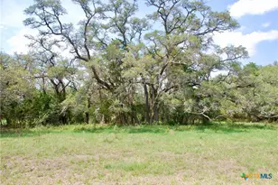 Tbd Fm 532, Shiner, TX 77984 - Photo 25