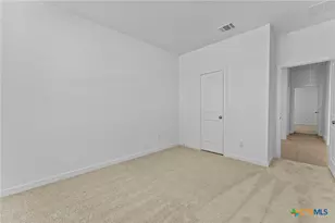 740 Horsetail Ln, New Braunfels, TX 78132 - Photo 5