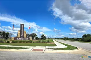 447 Agave Flats Dr, New Braunfels, TX 78130 - Photo 45
