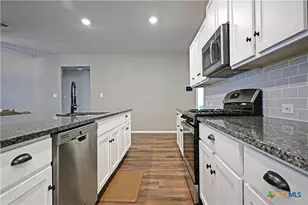 447 Agave Flats Dr, New Braunfels, TX 78130 - Photo 9