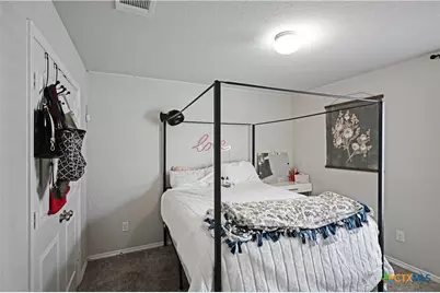 447 Agave Flats Drive, New Braunfels, TX 78130 - Photo 35