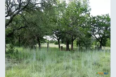 3650 Fm 932, Jonesboro, TX 76538 - Photo 37
