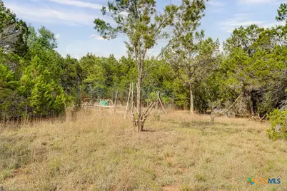 360 Morgan Court, Fischer, TX 78623 - Photo 33