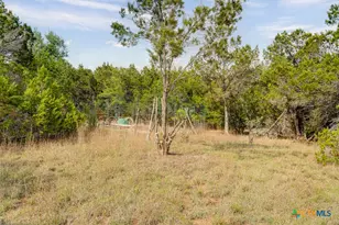 360 Morgan Ct, Fischer, TX 78623 - Photo 33