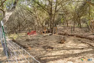 360 Morgan Ct, Fischer, TX 78623 - Photo 35