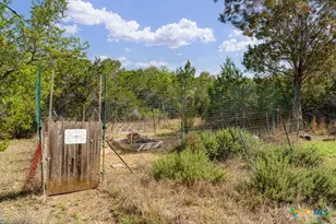 360 Morgan Ct, Fischer, TX 78623 - Photo 31