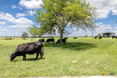 6589 State Highway 304, Harwood, TX 78632 - Photo 39