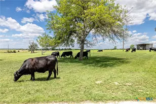 6589 State Hwy 304, Harwood, TX 78632 - Photo 39