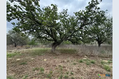 263 County Road 7812, Natalia, TX 78059 - Photo 13