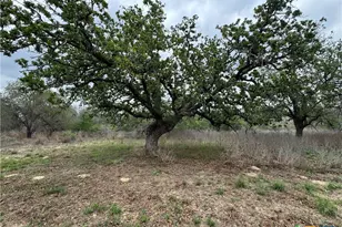 263 Co Rd 7812, Natalia, TX 78059 - Photo 13