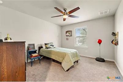 181 Flexus Lane, Liberty Hill, TX 78642 - Photo 29