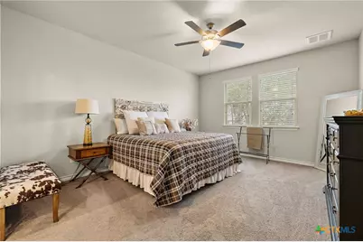 181 Flexus Lane, Liberty Hill, TX 78642 - Photo 17