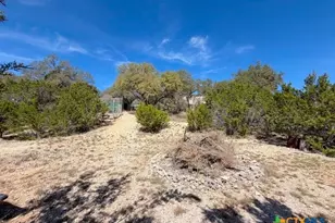 1660 Westview Ct Ct, Canyon Lake, TX 78133 - Photo 43