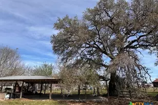 271 W Fm 884, Goliad, TX 77963 - Photo 5
