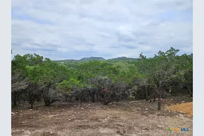 664 Luehlfing Drive, Canyon Lake, TX 78133 - Photo 5