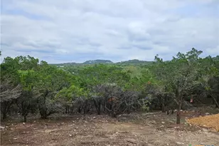 664 Luehlfing Dr, Canyon Lake, TX 78133 - Photo 5