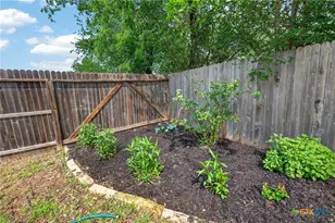 524 Long Leaf Dr, New Braunfels, TX 78130 - Photo 23