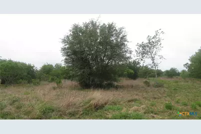 0 Co Rd 426, Lolita, TX 77971 - Photo 31