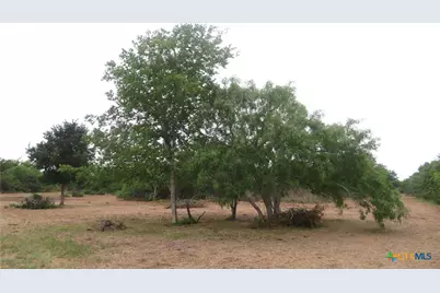 0 Co Rd 426, Lolita, TX 77971 - Photo 21