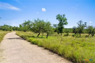 620 Rio Vis Rd, Johnson City, TX 78636 - Photo 25
