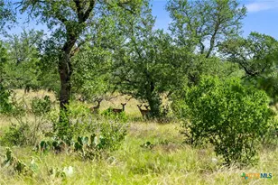 620 Rio Vis Rd, Johnson City, TX 78636 - Photo 3
