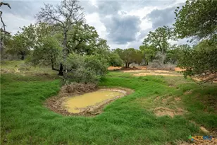 132 Roemer Ln, Floresville, TX 78114 - Photo 43