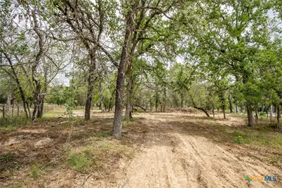 132 Roemer Lane, Floresville, TX 78114 - Photo 27
