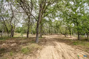 132 Roemer Ln, Floresville, TX 78114 - Photo 27