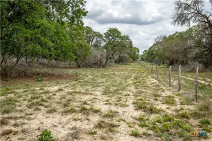 132 Roemer Ln, Floresville, TX 78114 - Photo 29