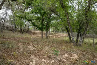 132 Roemer Lane, Floresville, TX 78114 - Photo 45