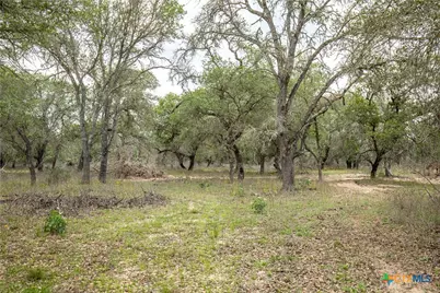 132 Roemer Lane, Floresville, TX 78114 - Photo 25