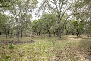 132 Roemer Ln, Floresville, TX 78114 - Photo 25