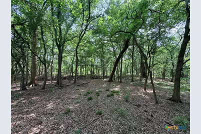 Tbd Fm 86, Luling, TX 78648 - Photo 23